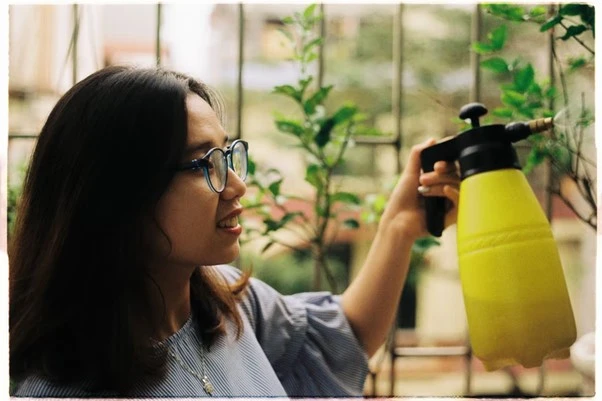 Regadores automáticos para jardim valem a pena