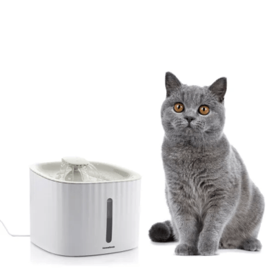 fonte de água para gatos
