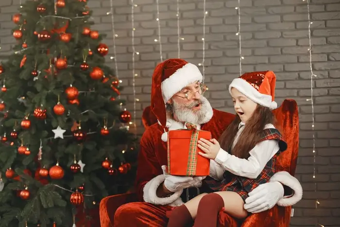 Fatos de Pai Natal, Mãe Natal e Fantasias