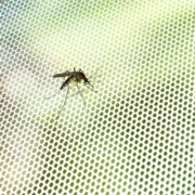 Rede Anti-Mosquitos Adesiva Recortável para Janelas White InnovaGoods Black Friday - nacloset 2