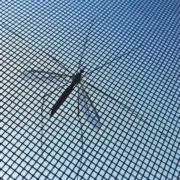 Rede Anti-Mosquitos Adesiva para Janelas Casa | Jardim - nacloset 2