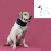 Colarinho cervical para cães KVP Preto (13-48 cm) Almofadas Cervicais - nacloset 2