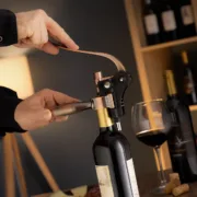 Conjunto de Acessórios para Vinho Servin   5 Peças Acessórios de Cozinha - nacloset 2