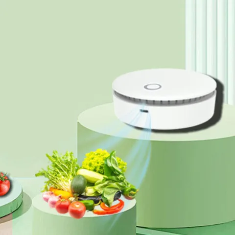 Mini Gerador de Ozono para Desinfeção Casa | Jardim - nacloset 3