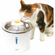 Fonte para Animais de Estimação Catit Branco Plástico/Aço inoxidável Animais de Estimação - nacloset 2