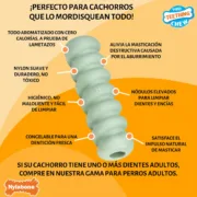 Mordedor para cão Nylabone SENSORY TACTILE STICK Verde Manteiga de amendoim Bacon S Animais de Estimação - nacloset 2