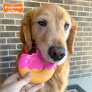 Brinquedo para cães Nylabone Cor de Rosa Bacon L Animais de Estimação - nacloset