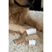 Brinquedo para cães Nylabone Castanho Manteiga de amendoim L Animais de Estimação - nacloset 2