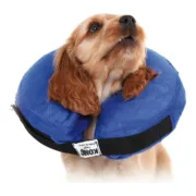 Colar de recuperação para cães KVP Kong Cloud Azul Insuflável (+46 cm) Animais de Estimação - nacloset