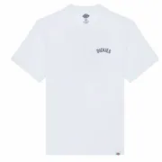 Camisola de Manga Curta Homem Dickies Dickies Snake Ss Tee Branco Moda | Acessórios - nacloset