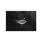 M0407370_23