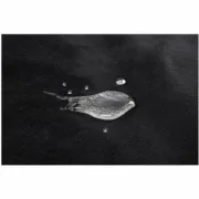 M0407370_18
