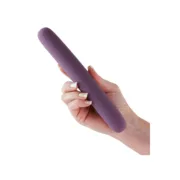Vibrador NS Novelties Desire Roxo Sexshop - nacloset 2