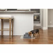 Fonte para Animais de Estimação PetSafe 1,8 L Animais de Estimação - nacloset 2