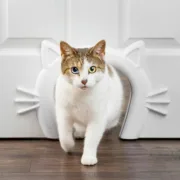 Túnel PetSafe Animais de Estimação - nacloset 2