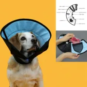 Colar Isabelino para Cães KVP Calmer Multicolor (20-28 cm) Animais de Estimação - nacloset 2