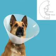 Colar Isabelino para Cães KVP Quick Fit Transparente (63-78 cm) Animais de Estimação - nacloset 2
