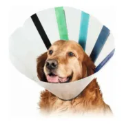 Colar Isabelino para Cães KVP EZ Clear (32-39 cm) Animais de Estimação - nacloset