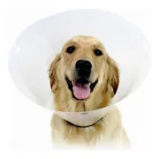 Colar Isabelino para Cães KVP Check Transparente (23-32 cm) Animais de Estimação - nacloset