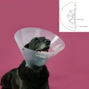 Colar Isabelino para Cães KVP Betsy Transparente (45-56 cm) Animais de Estimação - nacloset 2
