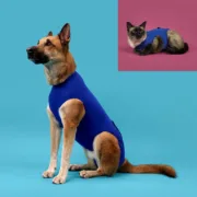 Camisola de recuperação para animais de estimação KVP 53-61 cm Azul Animais de Estimação - nacloset 2
