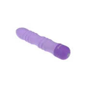 Bala Vibradora Evolved Roxo Sexshop - nacloset 2