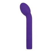 Vibrador de Ponto G Evolved Roxo Sexshop - nacloset