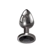 Plug Anal Evolved Prateado Consoladores - nacloset 2