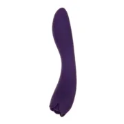 Vibrador Evolved Roxo Sexshop - nacloset