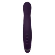Vibrador de Ponto G Evolved Roxo Sexshop - nacloset 2