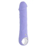Vibrador Evolved Roxo Sexshop - nacloset
