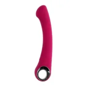 Vibrador de Ponto G Evolved Vermelho Sexshop - nacloset