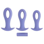 Plug Anal Evolved Roxo (8,9 cm) (9,5 cm) (10,1 cm) Consoladores - nacloset