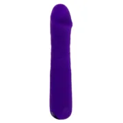 Vibrador Clássico Evolved Selopa Roxo Sexshop - nacloset 2