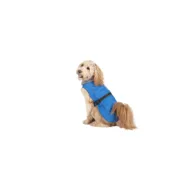 Gabardina para Cães Dog Gone Smart Azul 50 cm Animais de Estimação - nacloset 2