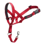 Coleira de Treino para Cães Company of Animals Halti Açaime (40-54 cm) Animais de Estimação - nacloset
