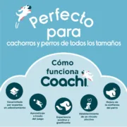 Haltere Coachi TRAINING DUMBBELL Azul L Plástico Animais de Estimação - nacloset 2
