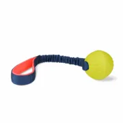 Brinquedo de treino Coachi TUGGI BALL Azul Animais de Estimação - nacloset 2