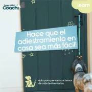 Arnês para Cães Coachi Animais de Estimação - nacloset