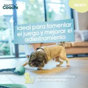 Arnês para Cães Coachi Animais de Estimação - nacloset