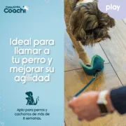Arnês para Cães Coachi Animais de Estimação - nacloset