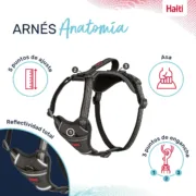 Arnês para Cães Company of Animals Cinzento S 28-42 cm Animais de Estimação - nacloset 2