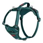 Arnês para Cães Company of Animals Turquesa XS 20-32 cm Animais de Estimação - nacloset