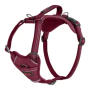 Arnês para Cães Company of Animals Castanho-avermelhado S 28-42 cm Animais de Estimação - nacloset