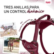 Arnês para Cães Company of Animals Castanho-avermelhado S 28-42 cm Animais de Estimação - nacloset 2