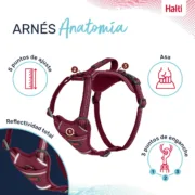 Arnês para Cães Company of Animals Castanho-avermelhado XL 50-78 cm Animais de Estimação - nacloset 2