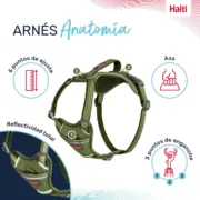 Arnês para Cães Company of Animals Verde S 28-42 cm Animais de Estimação - nacloset 2