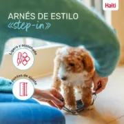 Arnês para Cães Company of Animals Cinzento XS 28-44 cm Animais de Estimação - nacloset 2