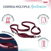 Trela para Cães Company of Animals Castanho-avermelhado S Animais de Estimação - nacloset 2