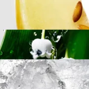 V0600120_9